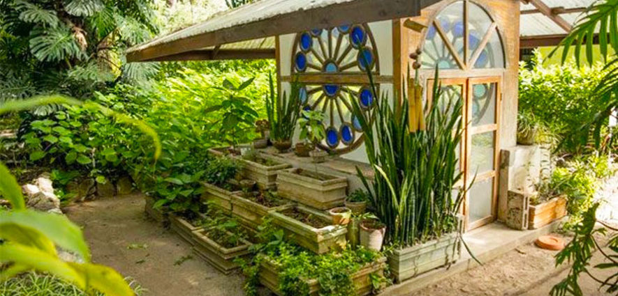 Jardín botánico en la ciudad de Guatemala