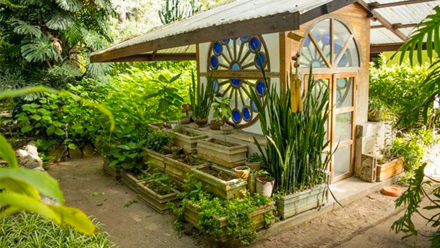 Jardín botánico en la ciudad de Guatemala – Radio TGW