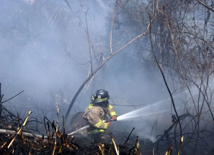 Conred apagó 950 incendios forestales