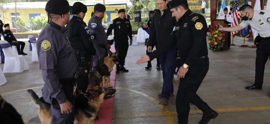 Mingob recibe 22 agentes caninos antinarcóticos