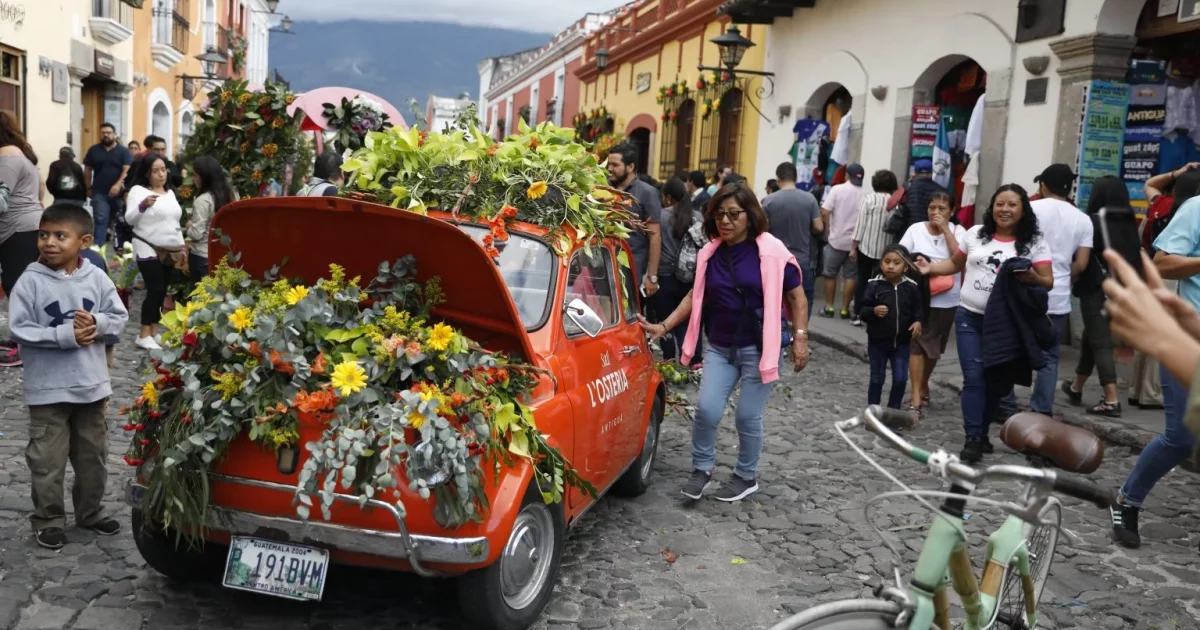 Árboles y flores marcaron jornada del fin de semana – Radio TGW