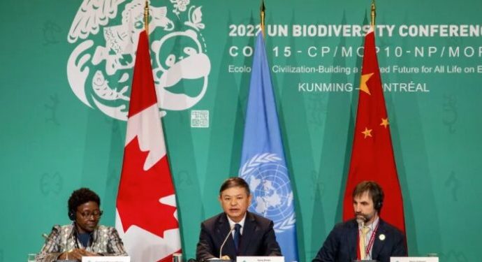 COP15 ACUERDA PROTEGER EL PLANETA PARA PRESERVAR BIODIVERSIDAD