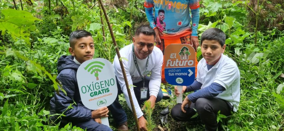 INAB cumple hoy 27 años siendo líder en el sector forestal de Guatemala