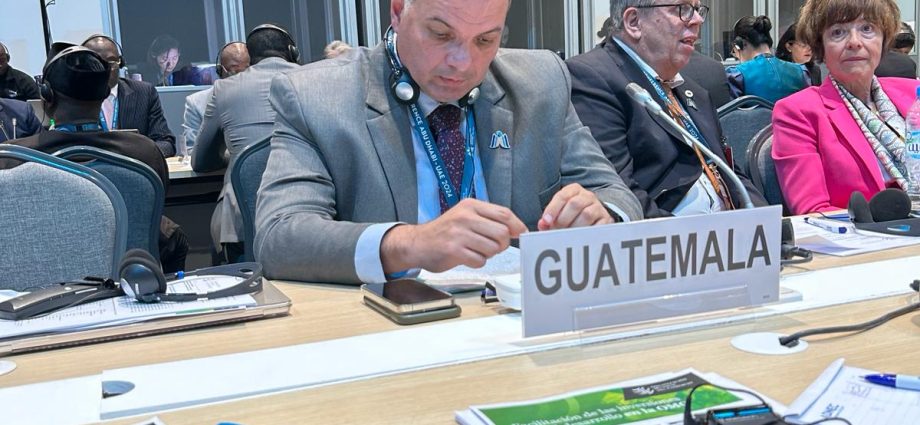 Guatemala pide a la Organización Mundial del Comercio reconocer economías en desarrollo