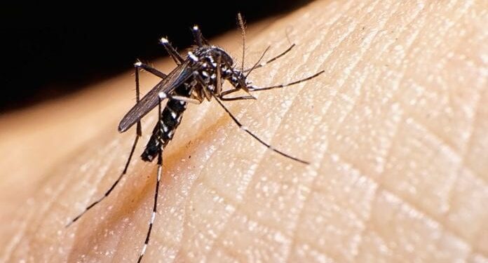 Un total de 12 mil 570 casos de dengue se registraron durante el primer trimestre de 2024