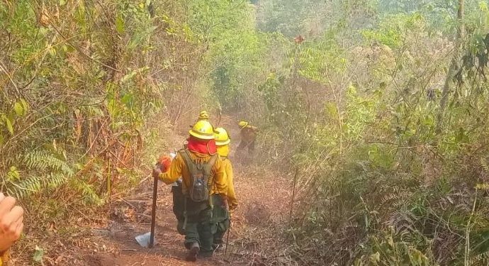 CONRED indica que este martes 4 de junio se encuentran activos 87 incendios en el país