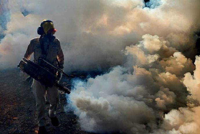 Ataque frontal al dengue: ¡Miles de viviendas fumigadas!