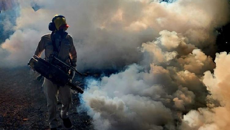 Ataque frontal al dengue: ¡Miles de viviendas fumigadas!