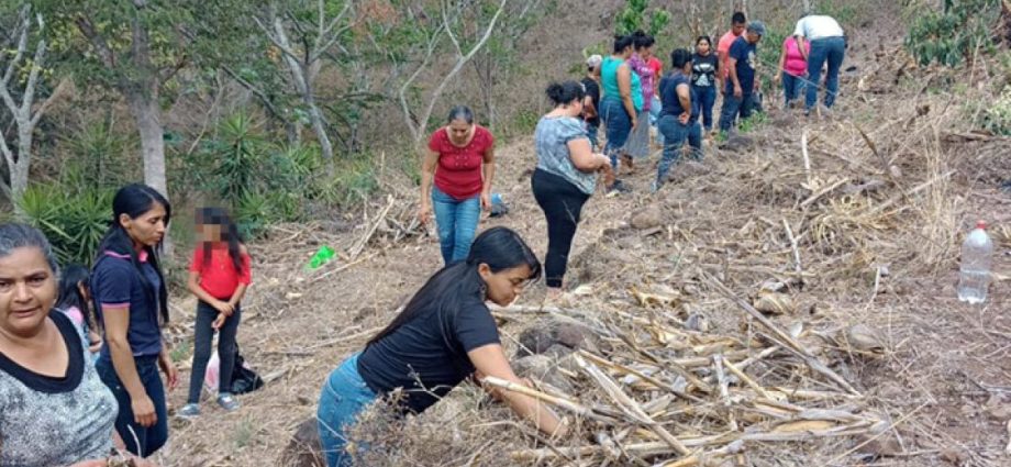 Cultivando un Futuro Sostenible: MAGA Promueve Prácticas Agrícolas Sostenibles en Zonas Rurales