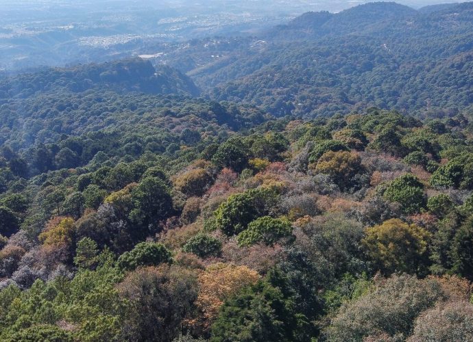 Se reúnen lideres comunitarios para la protección del área protegida de la cordillera Alux