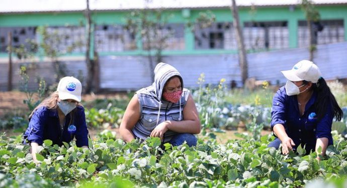 Más apoyo para los agricultores: Gobierno fortalece el sistema de extensión rural