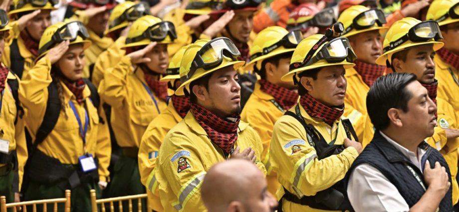 El Gobierno reconoció el esfuerzo y trabajo de las brigadas contra incendios