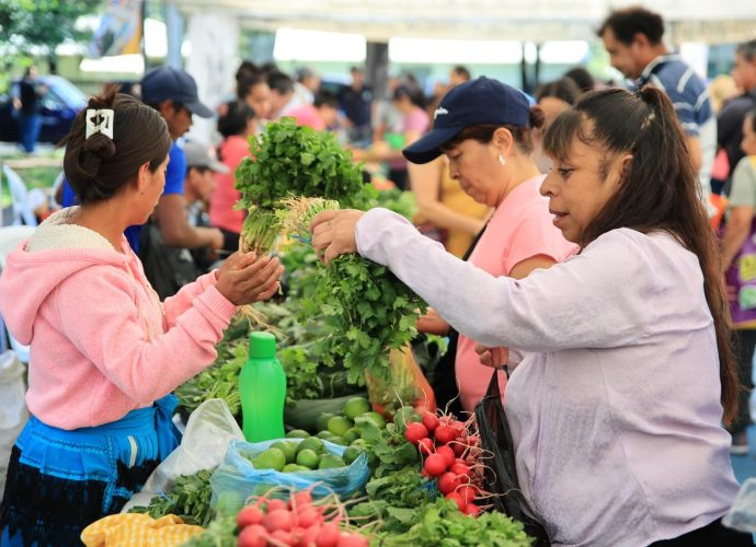 MAGA programa 15 fechas de la Feria del Agricultor en distintos puntos del país