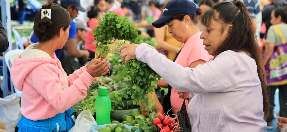 MAGA programa 15 fechas de la Feria del Agricultor en distintos puntos del país