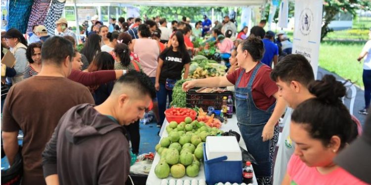 Este viernes 20 de septiembre se llevarán a cabo dos ferias del agricultor en Guatemala