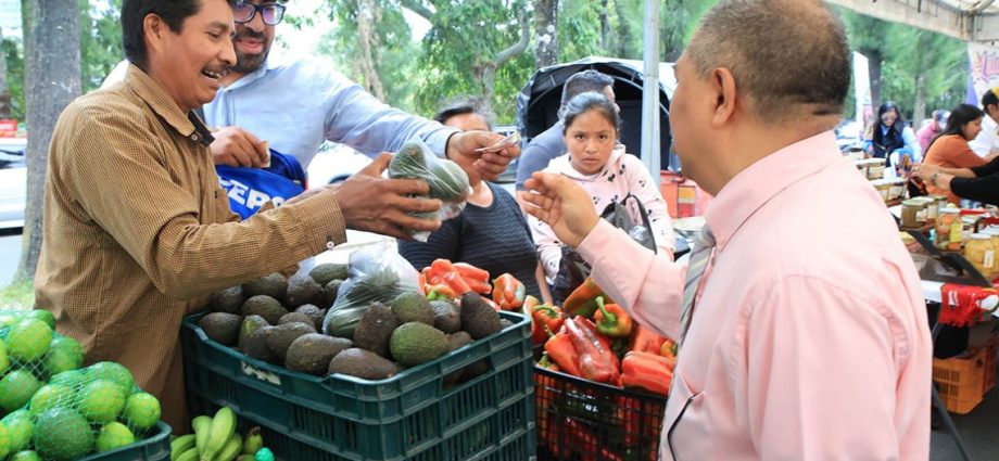 MAGA informa los municipios que albergarán las próximas ediciones de la Feria del Agricultor