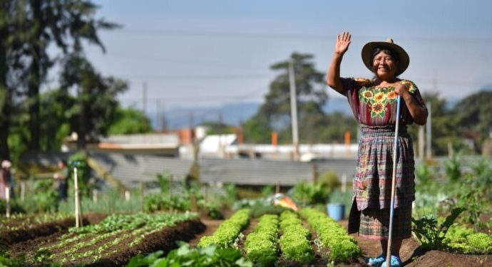 El 15 de octubre, se celebra a nivel mundial la contribución de las mujeres rurales en los ámbitos social, económico y familiar