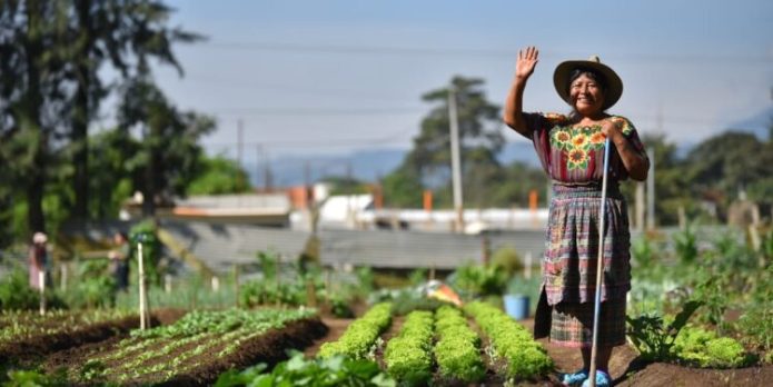 El 15 de octubre, se celebra a nivel mundial la contribución de las mujeres rurales en los ámbitos social, económico y familiar