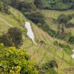 La aldea Contreras, en San José Pinula, realizó la inauguración de la rehabilitación del camino rural