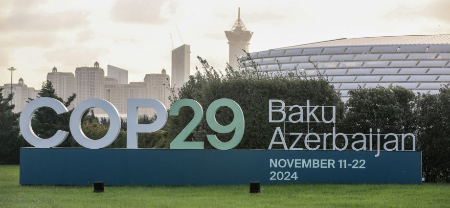 Guatemala estará representada en la COP29 por el viceministro de Cambio Climático