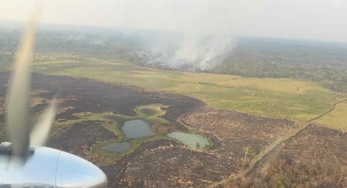 CONAP informa que durante la temporada de incendios 2023-2024 ocurrieron 429 incendios forestales en áreas protegidas