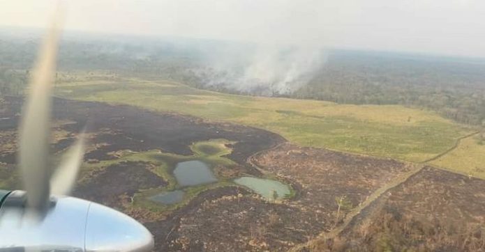 CONAP informa que durante la temporada de incendios 2023-2024 ocurrieron 429 incendios forestales en áreas protegidas