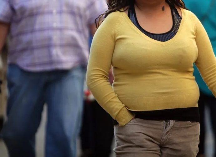 Estudio revela que las células adiposas “recuerdan” la obesidad y pueden favorecer el efecto yo-yo de las dietas