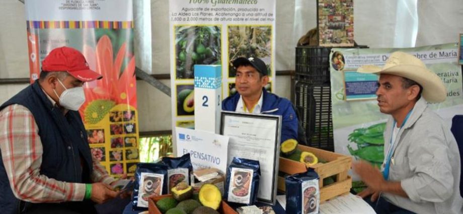 Con el apoyo del MAGA, los productores guatemaltecos aumentan sus ventas al exterior