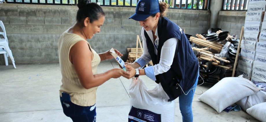 Conozca qué es el Bono Campesino y cómo ser elegible