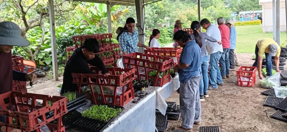 MAGA capacita a más de 30 mil personas en seguridad alimentaria y desarrollo sostenible