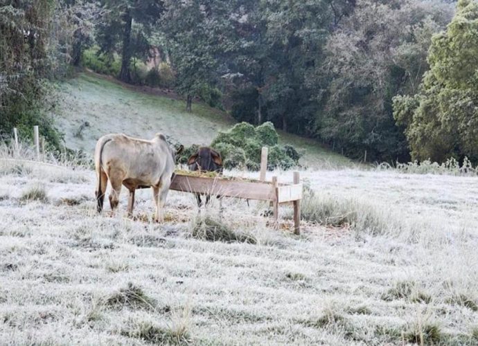 Alertan sobre bajas temperaturas en 86 municipio