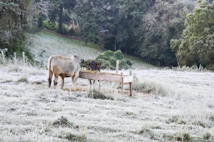 Alertan sobre bajas temperaturas en 86 municipio