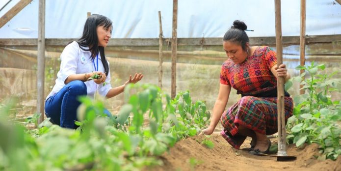 Autoridades de Guatemala y la FAO buscan alternativas para reducir el impacto medioambiental en la agricultura