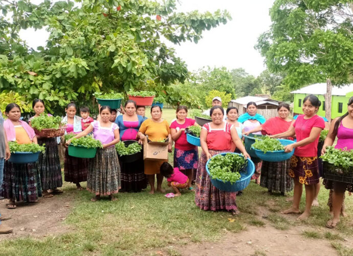 Huertos Familiares: Una Semilla de Esperanza para la Seguridad Alimentaria en la Zona de Adyacencia