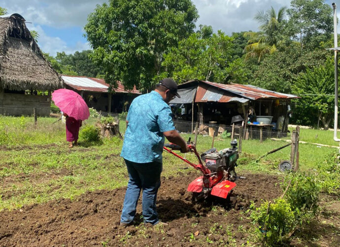 Huerto Comunal Fortalece Seguridad Alimentaria y Economía en Comunidad de Petén
