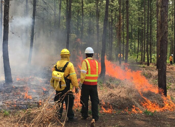 1 mil 688 incendios forestales han sido atendidos por el INAB en 2025 1 mil 688 incendios forestales han sido atendidos por el INAB en 2025