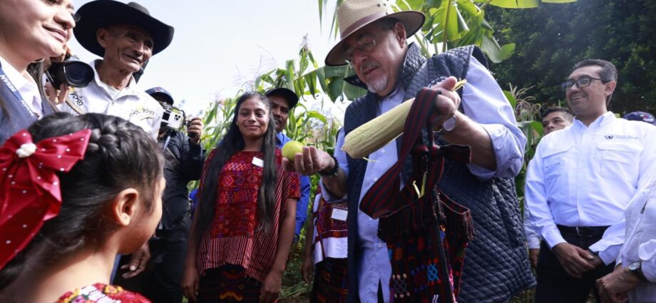 Presidente Arévalo supervisa avances de la Iniciativa Mano a Mano en Colotenango