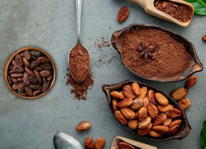 Estudio Revela que el Cacao Podría Ser un Aliado Contra el Envejecimiento Estudio Revela que el Cacao Podría Ser un Aliado Contra el Envejecimiento