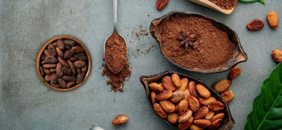 Estudio Revela que el Cacao Podría Ser un Aliado Contra el Envejecimiento