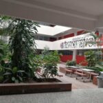 ESA LUZ QUE SIGUE ENCENDIDA, LA ESCUELA DE CIENCIAS PSICOLÓGICAS.