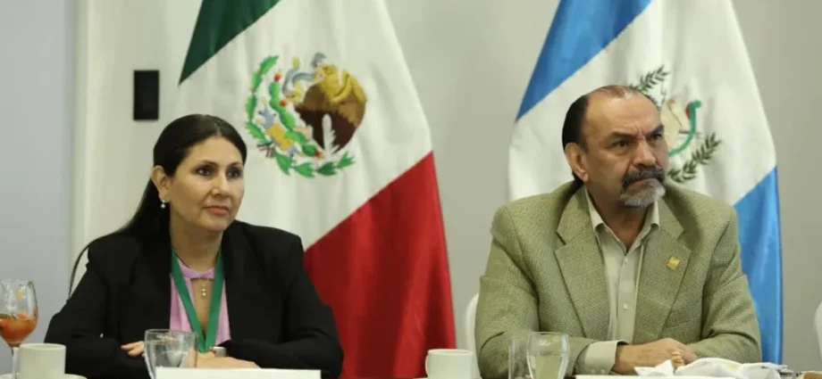 Fortalecen seguridad fronteriza mediante coordinación multisectorial