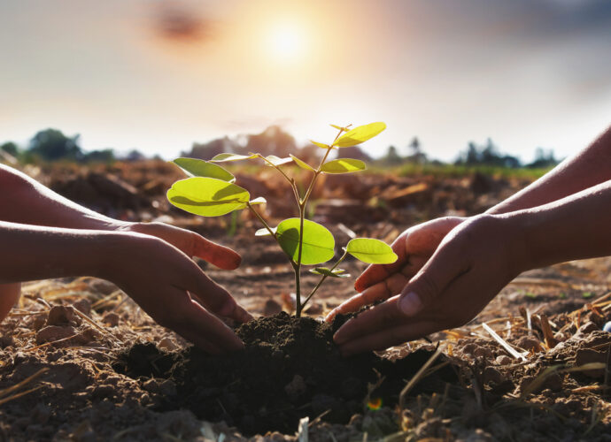 MARN habilita convocatoria para proyectos de reforestación a través de Fobosques MARN habilita convocatoria para proyectos de reforestación a través de Fobosques