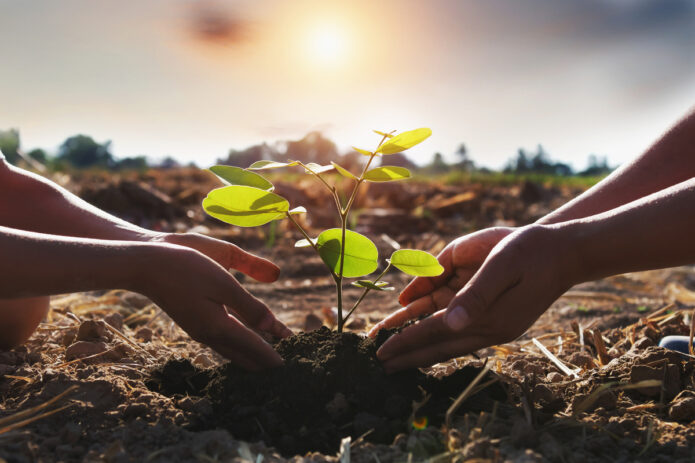 MARN habilita convocatoria para proyectos de reforestación a través de Fobosques